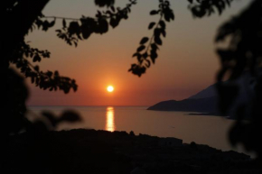 Sunset Serenity